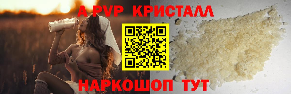 А ПВП крисы CK Кунгур