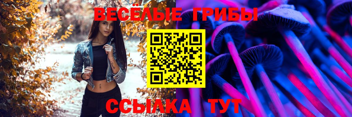 Кунгур  Псилоцибиновые грибы Cubensis  даркнет сайт  Вход с VPN 